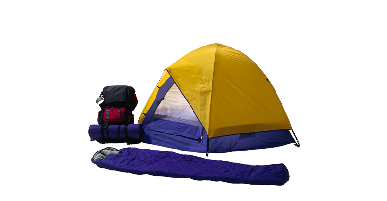 Организация и управление в индустрии туризма